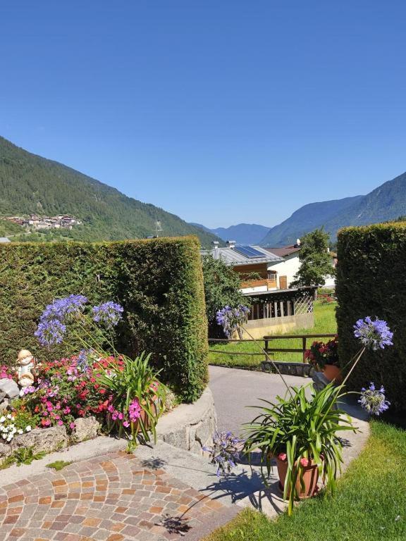 Appartamento Mansarda Patrizia E Franco Val Di Sole Commezzadura Exteriör bild